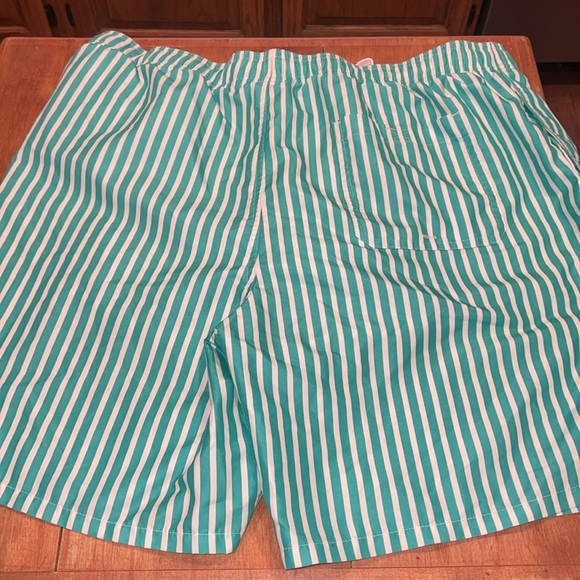Men’s Goodfellow and Co Green and White Striped Swim Trunks - Picture 3 of 3